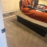 Carpet Cleaning
