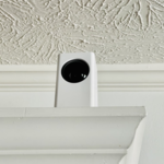 Wyze Pan Tilt Zoom Camera