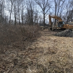 Development