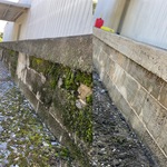 Moldy wall to new wall