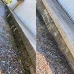 Moldy retaining wall