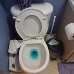 Full Bathroom cleaning