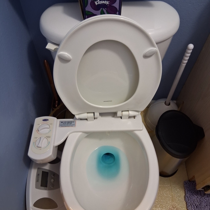 Full Bathroom cleaning