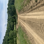 road back to camp site