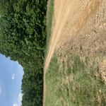 different view of road