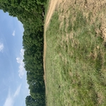 road leading to campsite