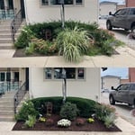 Weeding and fall flowers.