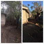 Tree removals in Mercedes, Texas