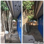 Tree removal that was affecting this home