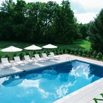 Pool and Landscaping