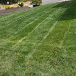 Maintenance mowing