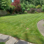 Maintenance mowing