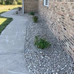 landscape overhaul