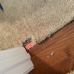 carpet repair