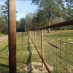 Fence