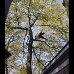 Climbing