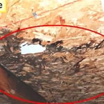 Roofing Attic