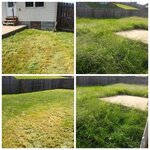 Lawn care