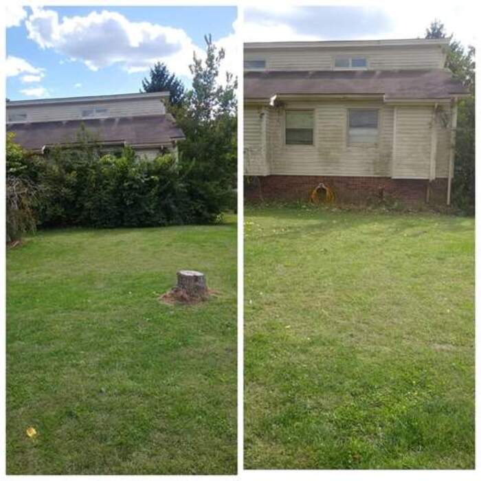 Lawn care