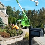 Tree Service