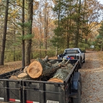 haul away