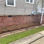 Shrub Removal