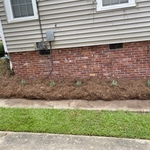 Shrub Removal