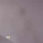 HOUSE CLEANINGSp