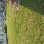 A Beautiful Lawn