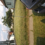 A Beautiful Lawn
