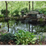 River House Koi Pond