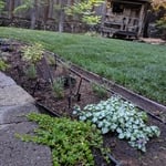Close up of sod install