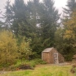 Site before