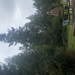 Site before