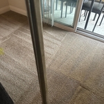 Previous cleanings