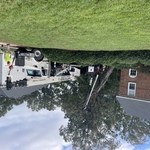 Tree removal