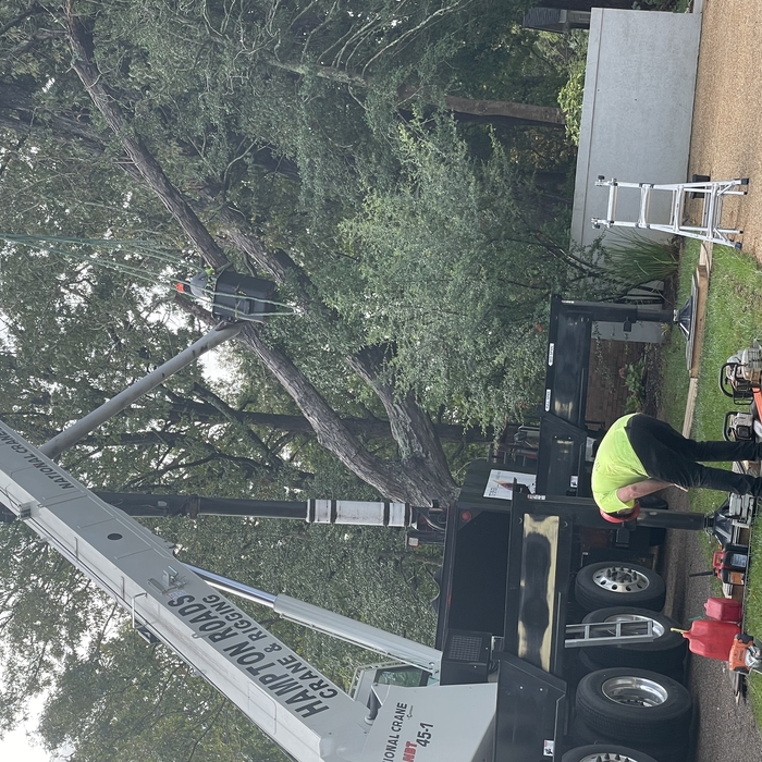 Crane and bucket truck working in tandem
