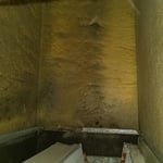 HVAC mold