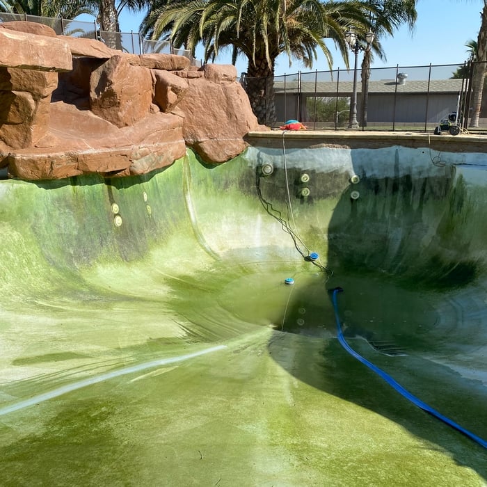 Shows how much algae was in the pool