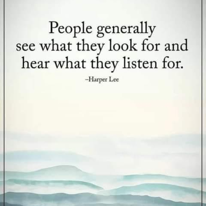 Seeing and Hearing