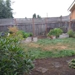 Shrub removal