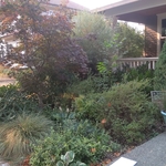 Clean up and pruning