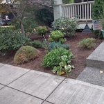 Clean up and pruning