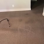 Carpet before