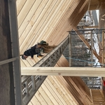 New construction