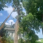 Our work