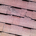 damaged asphalt shingles