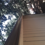 New Gutter install