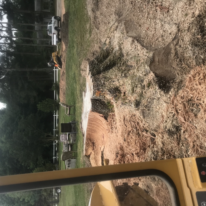 Dad's small grinder getting it done