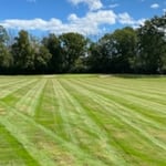 Maintain Lawn